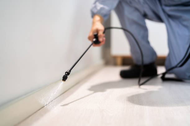 Licensed Pest Control service in Perth Amboy, NJ - Show Me Pest Control