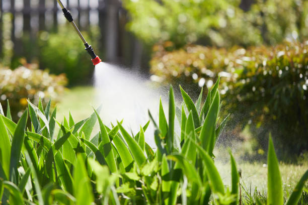 24/7 Emergency Mosquito Control experts in Perth Amboy, NJ
