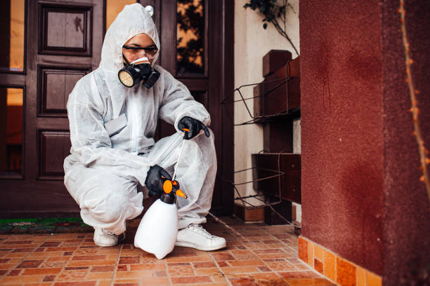 Reliable Mosquito Control contractor in Perth Amboy, NJ by Show Me Pest Control