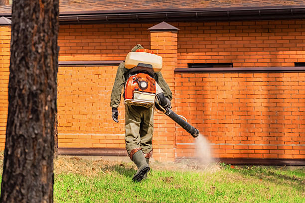Top rated local Mosquito Control specialists in Perth Amboy, NJ